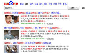 百度搜索結果中前面的圖片是怎么做到的？